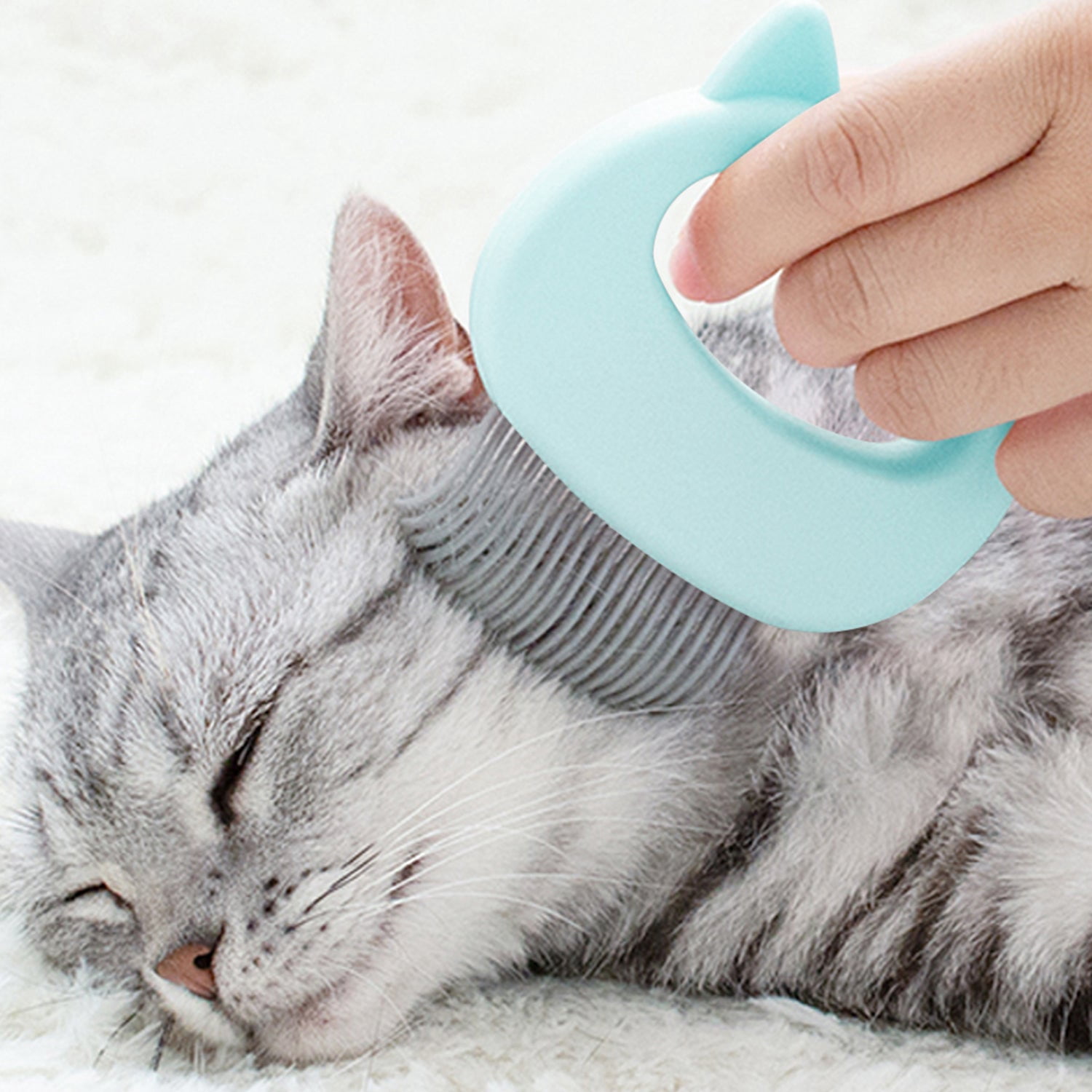 Cat Pet Hair Removal and Massaging Shell Comb Brush - 2 Pack