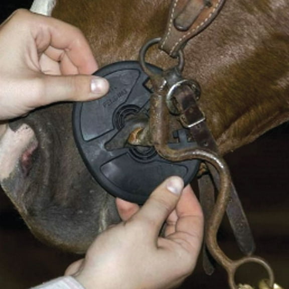 Reinsman Easy Button Bit Guard Pair