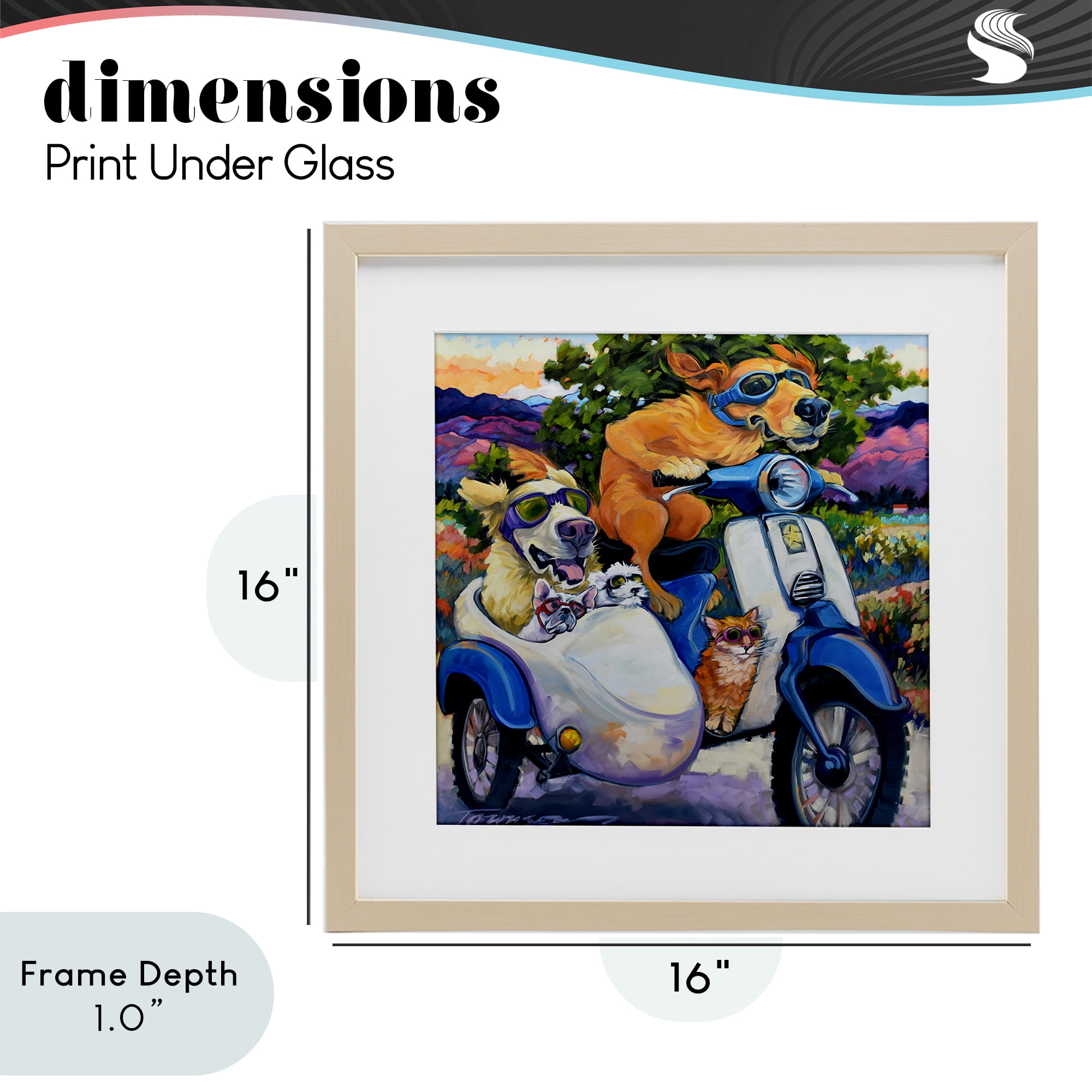 Stupell Industries All Doggled Up Sidecar Birch Framed Print Under Glass, design by CR Townsend