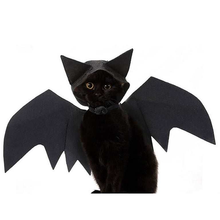 Purrfect Pals Halloween Cat Costume: Stylish & Funny Pet Apparel For  Autumn/Winter Festivities From Xinliang_qb, $19.58