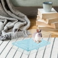 thumbnail image 4 of FESTFENDS Small Corner Litter Box Pet Toilet Transparent Plastic Toilet for Guinea Pig 1Set, 4 of 8