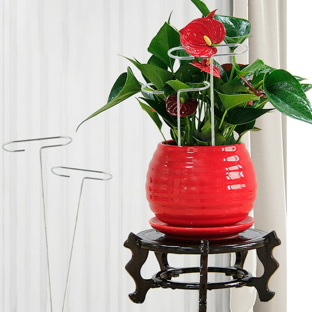 Plant Rack Anti-corrosion Good Loading Capacity Metal Vine Growth Climbing Trellis Garden Supplies
