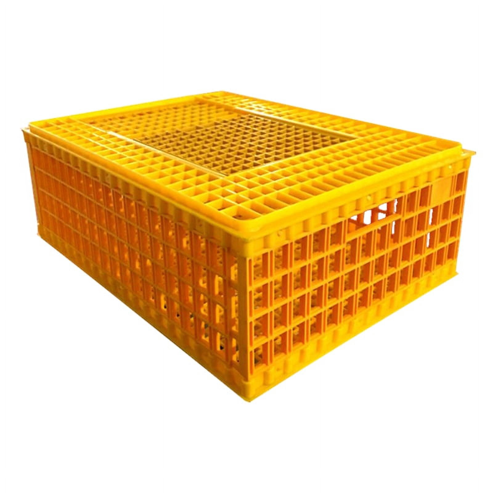 INTSUPERMAI Poultry Transport Crate Plastic Transport Cage Collapsible Broiler Turnover Box