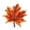 Orange, variant on Holloyiver Thanksgiving Maple Leaf Bath Mat for Bathroom Decor, Cute Halloween Decoration Orange Kirchen Rug, Washable Non Slip Cartoon Bath Rug Bathroom Plush Shower Mat, 24x24 Inch