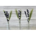 thumbnail image 2 of Kimberly, Allen 24x17 Black Ornate Wood Framed with Double Matting Museum Art Print Titled - Three Vases 2, 2 of 4
