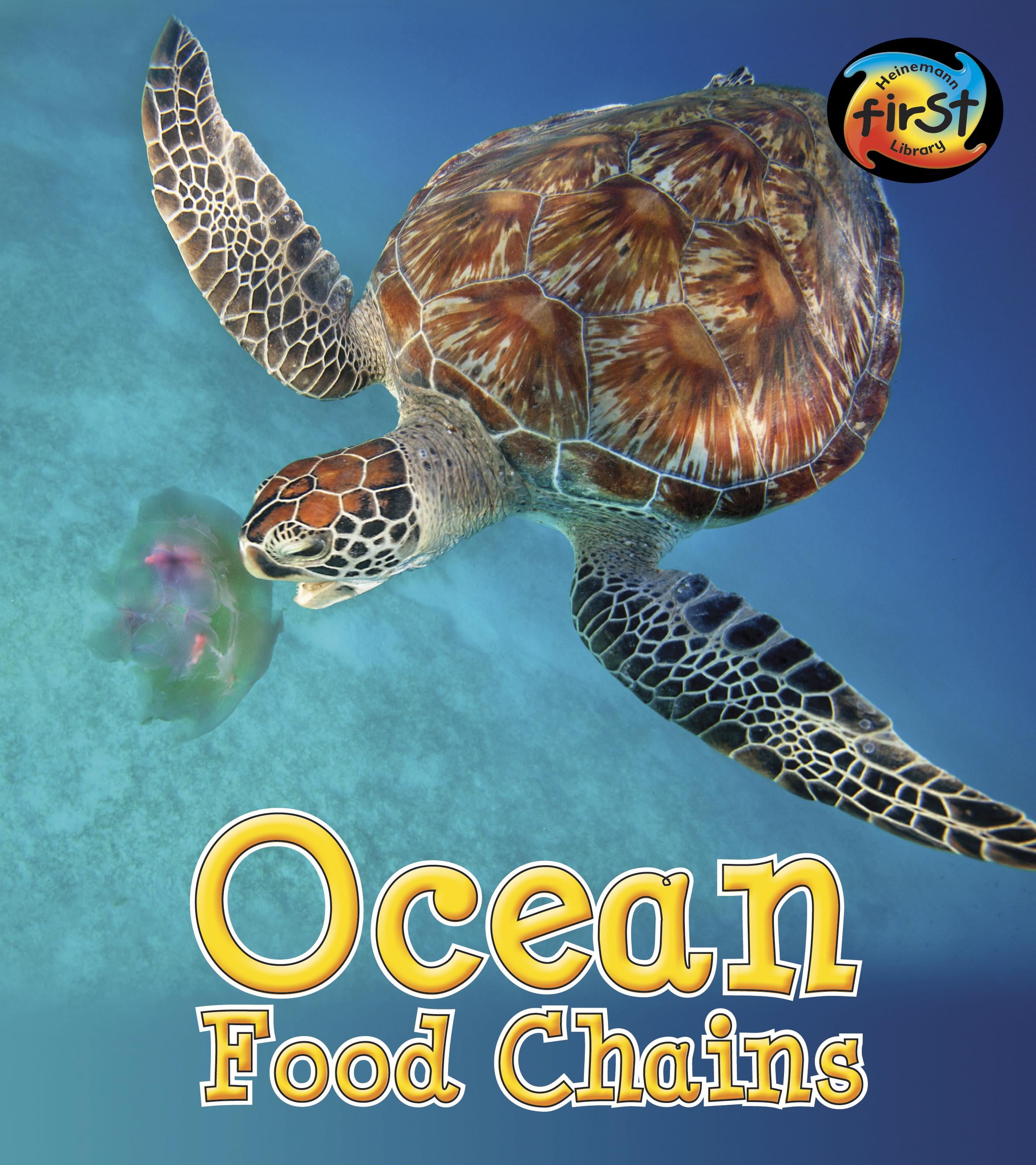Food Chains and Webs Ocean Food Chains Paperback Biology Diagrams