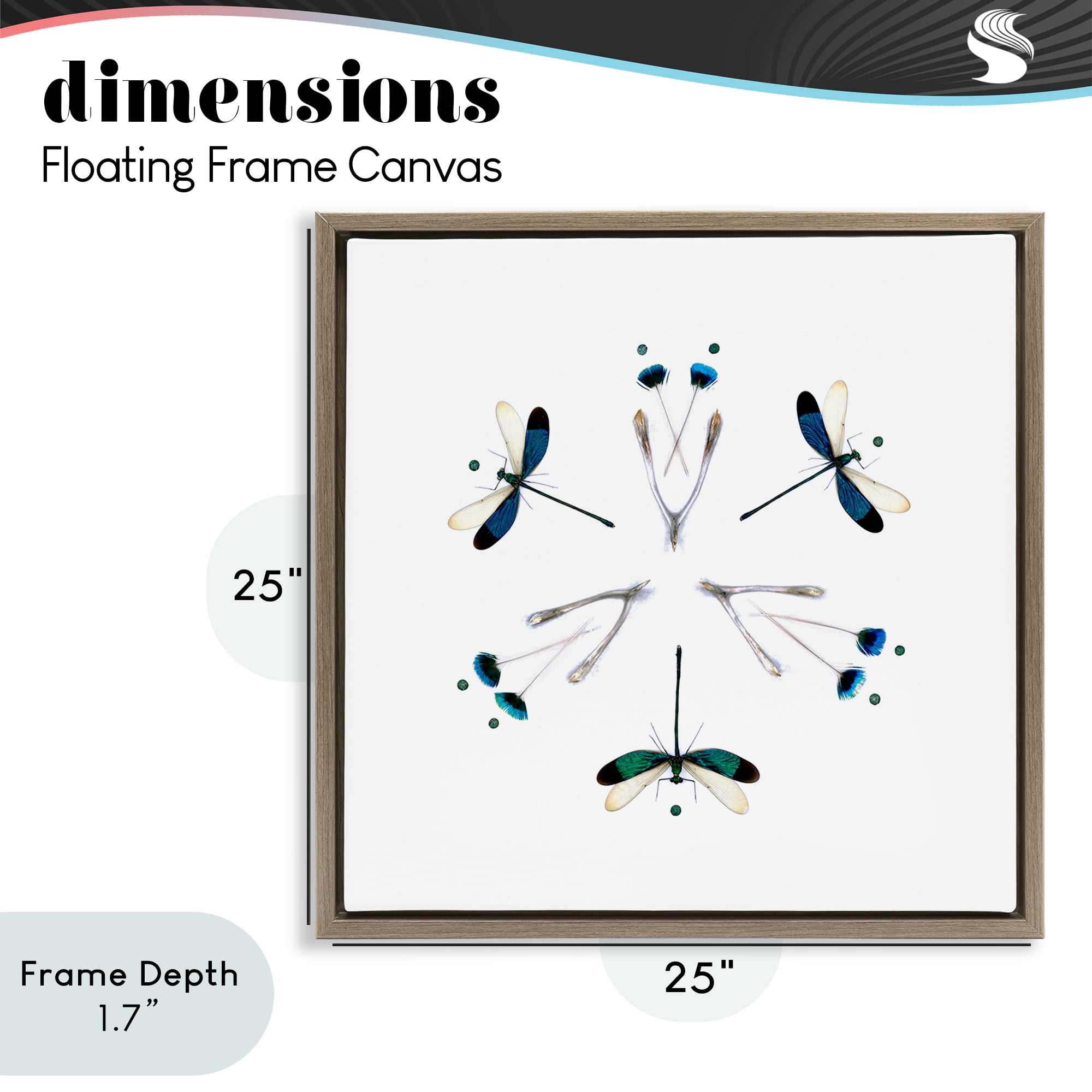Stupell Industries Simple Dragonfly Symmetry Brown Framed Floater Canvas Wall Art, design by Beth Adoette