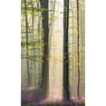 thumbnail image 3 of VLAICU, Denisa 10x14 Black Modern Framed Museum Art Print Titled - Misty sunrise in Hallerbos, 3 of 5