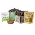 thumbnail image 3 of Organic Indoor Microgreens Growing Kit - With Reclaimed Barnwood Style Planter - Aged Brown - Complete Soil Based Indoor Garden Kit With Organic Purple Radish Microgreens Seeds - Rustic Kitchen Decor, 3 of 5