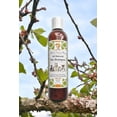 thumbnail image 3 of All Natural Pet Shampoo | Original Black Soap, 3 of 3