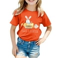 thumbnail image 2 of Easter Shirts Girls Casual Loose Fit Brown Bunny Graphic Easter Story Tshirt 2026 Children Short Sleeve Tops Funny Rabbit Easter T Shirts, 2 of 4