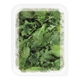 thumbnail image 3 of Kale baby Earthbound Farm orgánica 142 g, 3 of 4