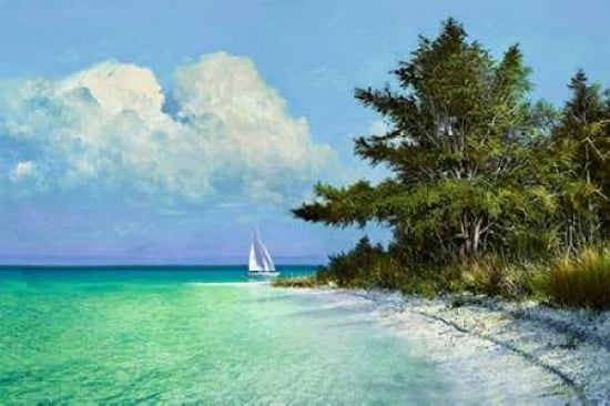 Cayo Costa Beach Ca