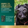 thumbnail image 3 of VetriScience Extra Strength Senior 27+ Active Health, Dogs, Chicken, 60ct, 3 of 9