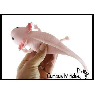 1 RANDOM COLOR Large Axolotl Cute Sea Creatures Stretchy and Squeezy Toy - Soft Doh Filled - Fidget Stress Ball