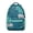 Greenish-blue-3, variant on Waterproof School Backpack for Teens & College Students - Ergonomic Spine Support with Adjustable S-Shaped Straps, Breathable Mesh & Padded Back Panel, Durable Lightweight
