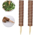 thumbnail image 1 of Poste de musgo absorbente de agua y transpirable de materiales de primera calidad para plantas, 2 piezas, instalación fácil y rápida, raíces aéreas de fibra de coco, adecuado para plantas de interior, 1 of 5