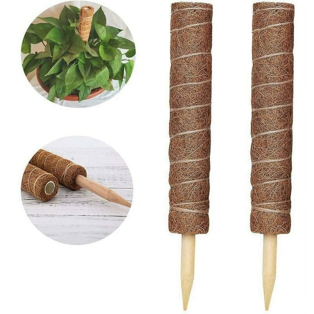Poste de musgo absorbente de agua y transpirable de materiales de primera calidad para plantas, 2 piezas, instalación fácil y rápida, raíces aéreas de fibra de coco, adecuado para plantas de interior