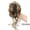 12H24, variant on 10inch Synthetic Fluffy Short Ponytail Claw Clip Wig Ponytail Extensions Curly Ponytail Ladies Black Brown Hair Clip for Women