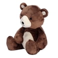 thumbnail image 2 of Bedtime Originals Sleepytime Bear Plush Stuffed Animal Toy - Buster, 2 of 6
