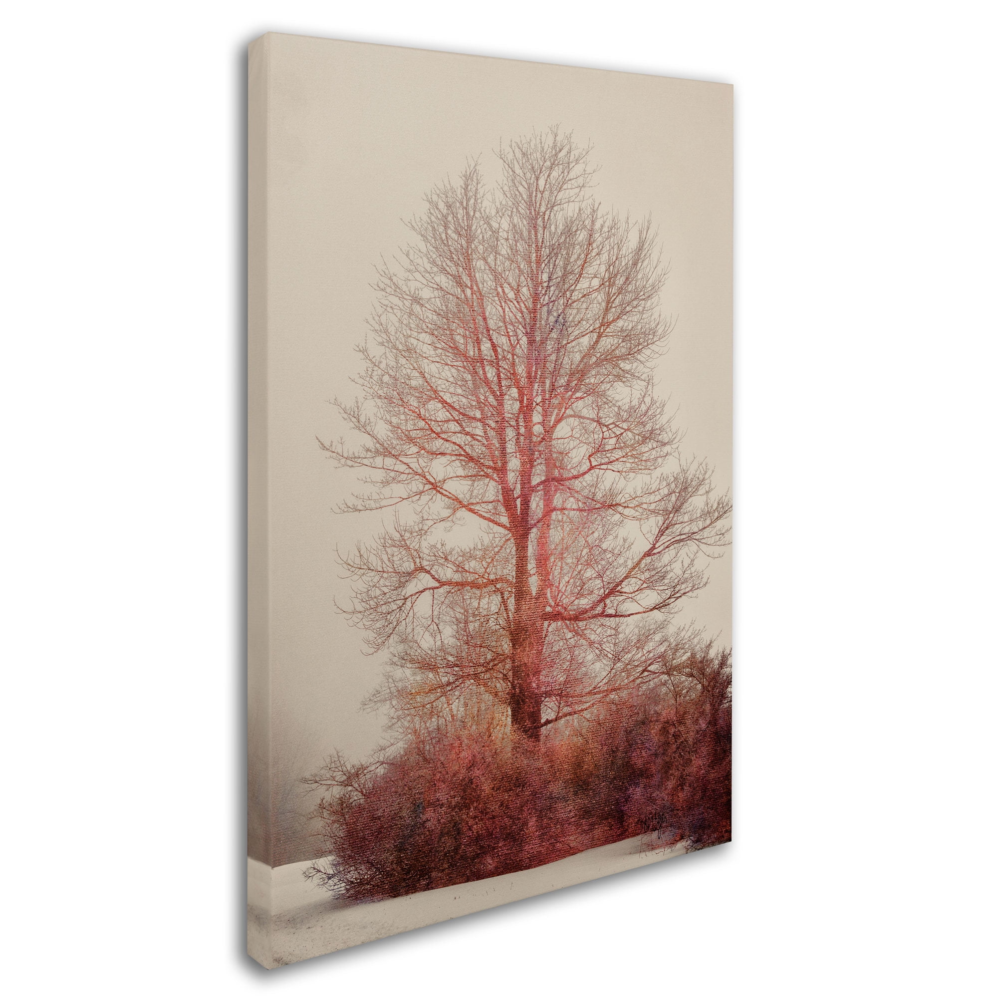 Lois Bryan 'A-Blush in the Fog' Canvas Art 16 x 24