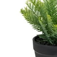thumbnail image 3 of Northlight Artificial Chinese Yew Plant in Black Pot - 7.5", 3 of 5