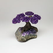 Small - Amethyst Clustered Gemstone Tree on Amethyst Matrix (The Protection Tree)