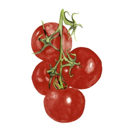 Veggie Stock - Watercolor Veggie IV Poster Print by Naomi McCavitt (13 x 19)