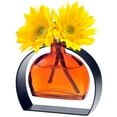 thumbnail image 2 of Couronne Company M246-200-08 Fiji Recycled Glass Vase & Arched Metal Stand, Orange, 1 Piece, 2 of 5