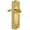 Lifetime Brass, variant on Grandeur 822033 Parthenon Solid Brass Rose Right Handed Single Dummy Lever - Brass