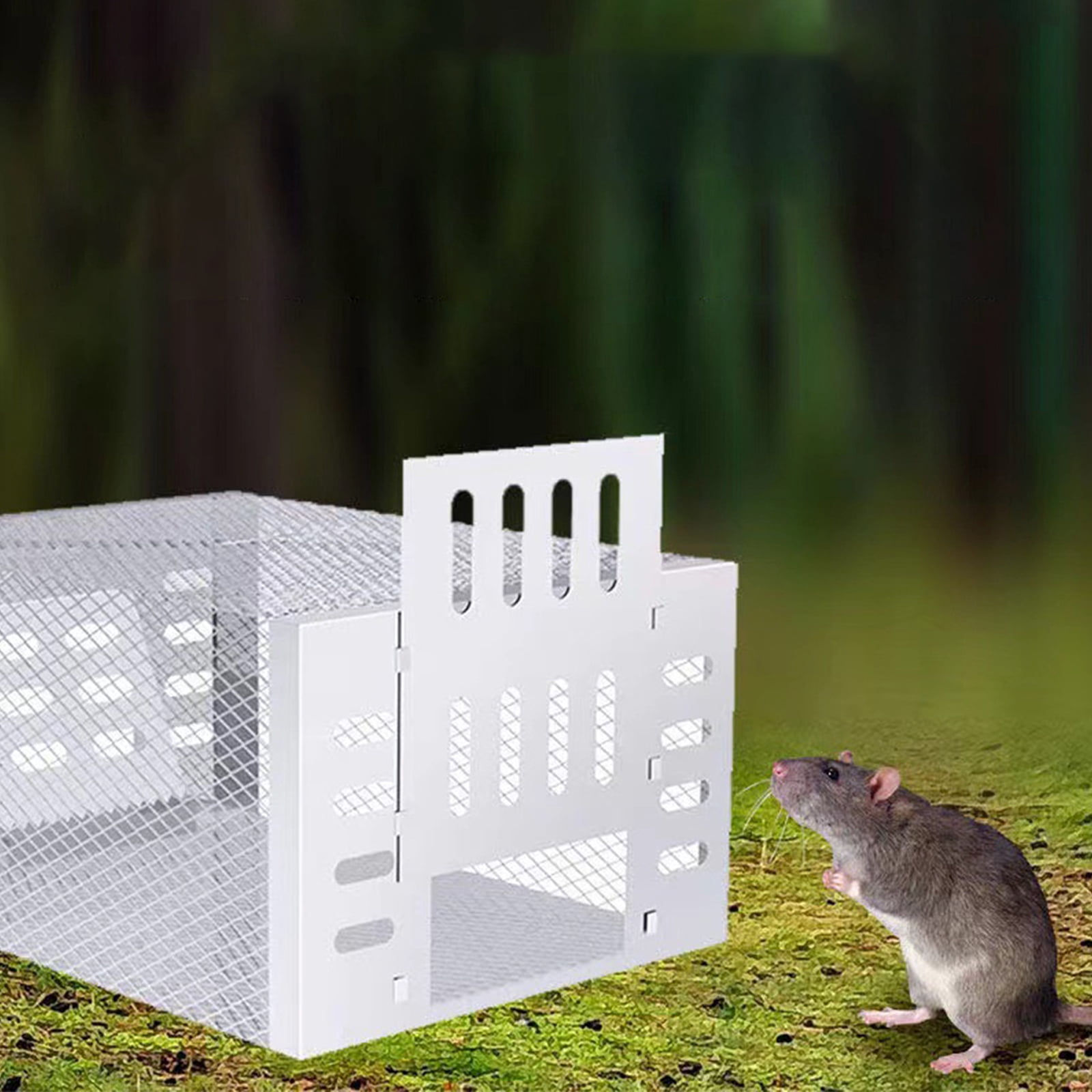Humane Live Mouse Trap Cage Automatic Reusable Rat Trap for Indoor Outdoor Small Rodents Mice Chipmunks Catch Release No Harm Design