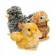 thumbnail image 2 of Peluche Douglas Brown Pollito de peluche, 10 cm, 2 of 2