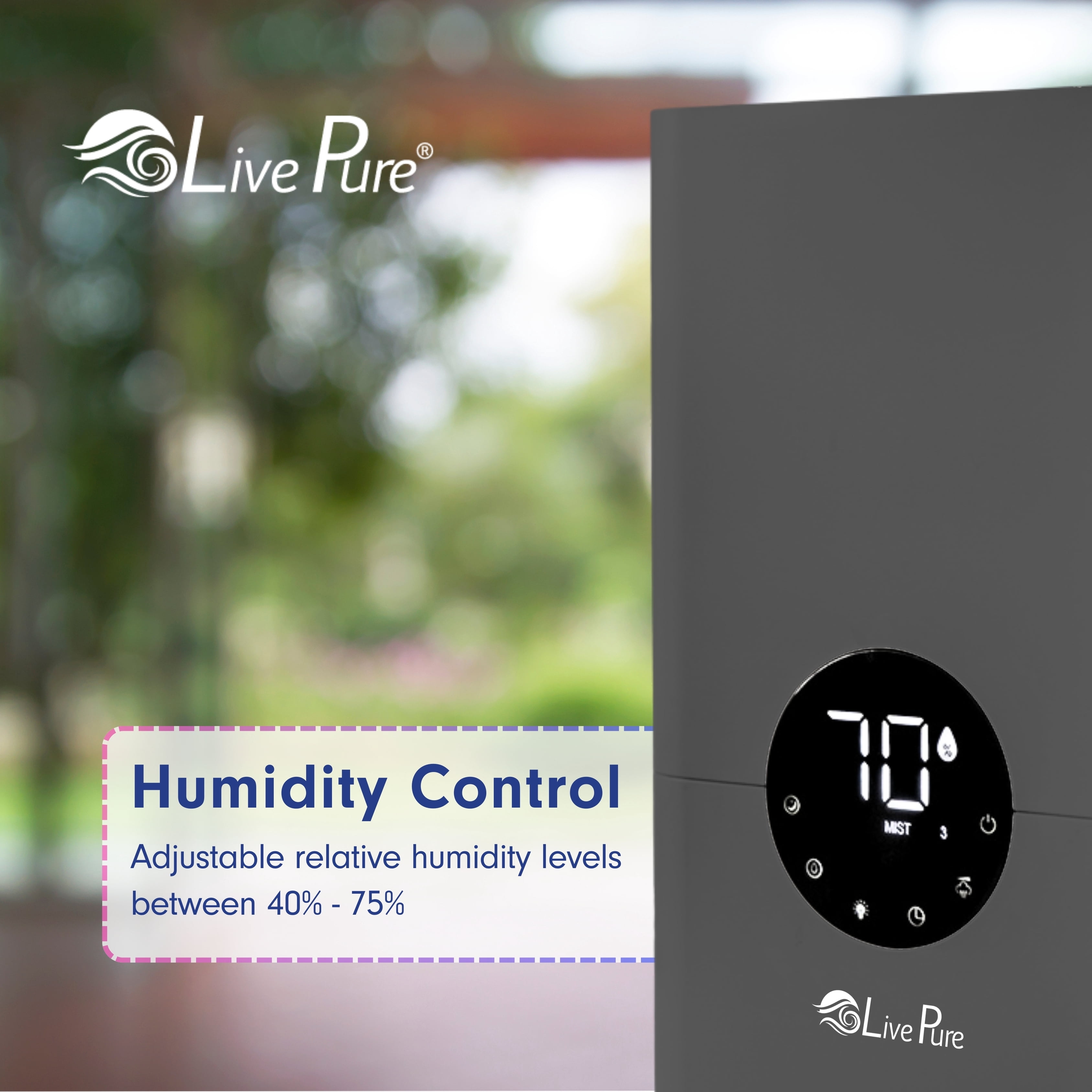 LivePure 1.2 L (.3 Gallon) Ultrasonic Cool Mist Top Fill Digital Humidifier with LED Display Screen, Graphite