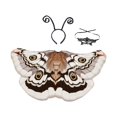 thumbnail image 4 of Disfraz de alas de mariposa y polilla para Halloween, accesorio fotográfico para mujer, para cumpleaños, espectáculos Café, 4 of 8