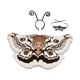 thumbnail image 4 of Disfraz de de polilla para Halloween, accesorios fotográficos para fiestas de disfraces, cumpleaños y festivales. Café, 4 of 8