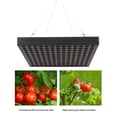 TUMALL (UK Plug 169 Bead)LED Grow Light Full Spectrum High Efficiency