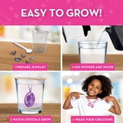Barbie Crystal Jewelry Growing Kit for Creative Crafting and Design by Blue Marble