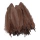 thumbnail image 5 of 2x 50 piezas hermosas plumas de naturales adorno álbumes de recortes de 5 a 8 , bos, fiestas, decoración, artesaní Gloria Ribetes de encaje de plumas grandes, 5 of 8