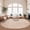 Brown, variant on Goolela Faux Fur Area Rug 2x3 Fluffy Faux Fur Rabbit Rug for Living Room Fuzzy Furry Washable Rug for Bedroom Black Rug Rectangle