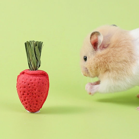 WRISTBIQUE Red Hay Chewing Plaything for Hamster, Teeth Health, Attention Grabber, Natural, 6Pcs