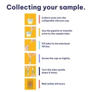 Healthyr 6 Panel STD/Sexually Transmitted Infections At-Home Test with Lab Fee Included
