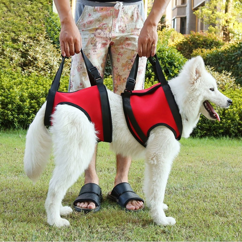 Pet Support Sling Help Weak Legs Stand Up Injured Disabled Arthritis ACL Joint Pain Elderly RC GearPro Dog Lift Harness for Back Legs M, blue