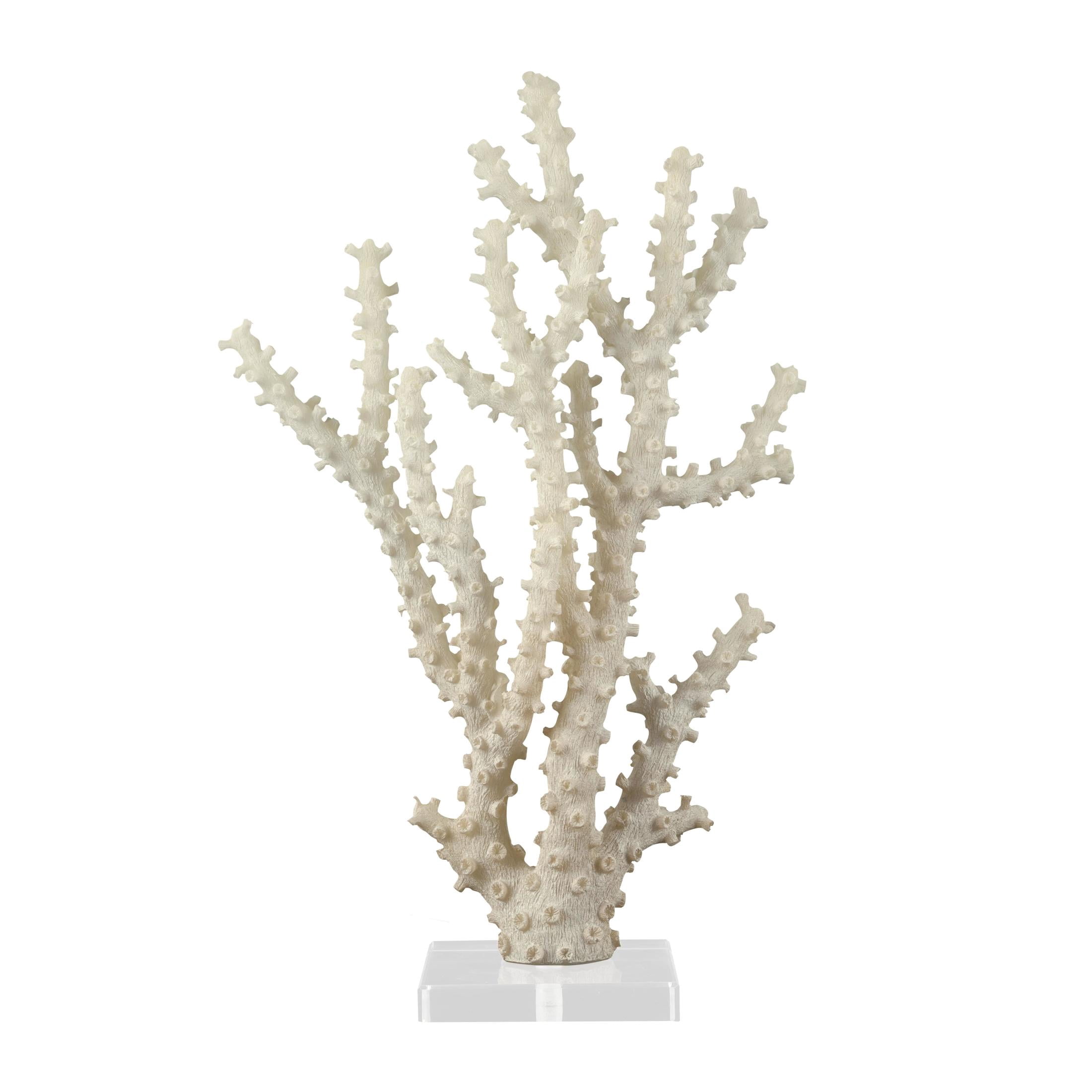 9" x 14" Cream Polystone Coral Sculpture with Clear Acrylic Base, by DecMode
