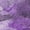 Purple, variant on Addison Rugs Chantille Indoor/Outdoor Transitional Modern Blue Washable Rectangle Rug, 1'8" x 2'6"