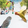 thumbnail image 3 of 6 Pcs Bird Parrot Toys, Bird Swing Toy Colorful Chewing Hanging Hammock Swing Simple Bell Small String Bird Toys for Parrots, Conure, 3 of 7