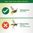 thumbnail image 3 of RESCUE Disposable Yellowjacket Wasp Trap, 3 of 8