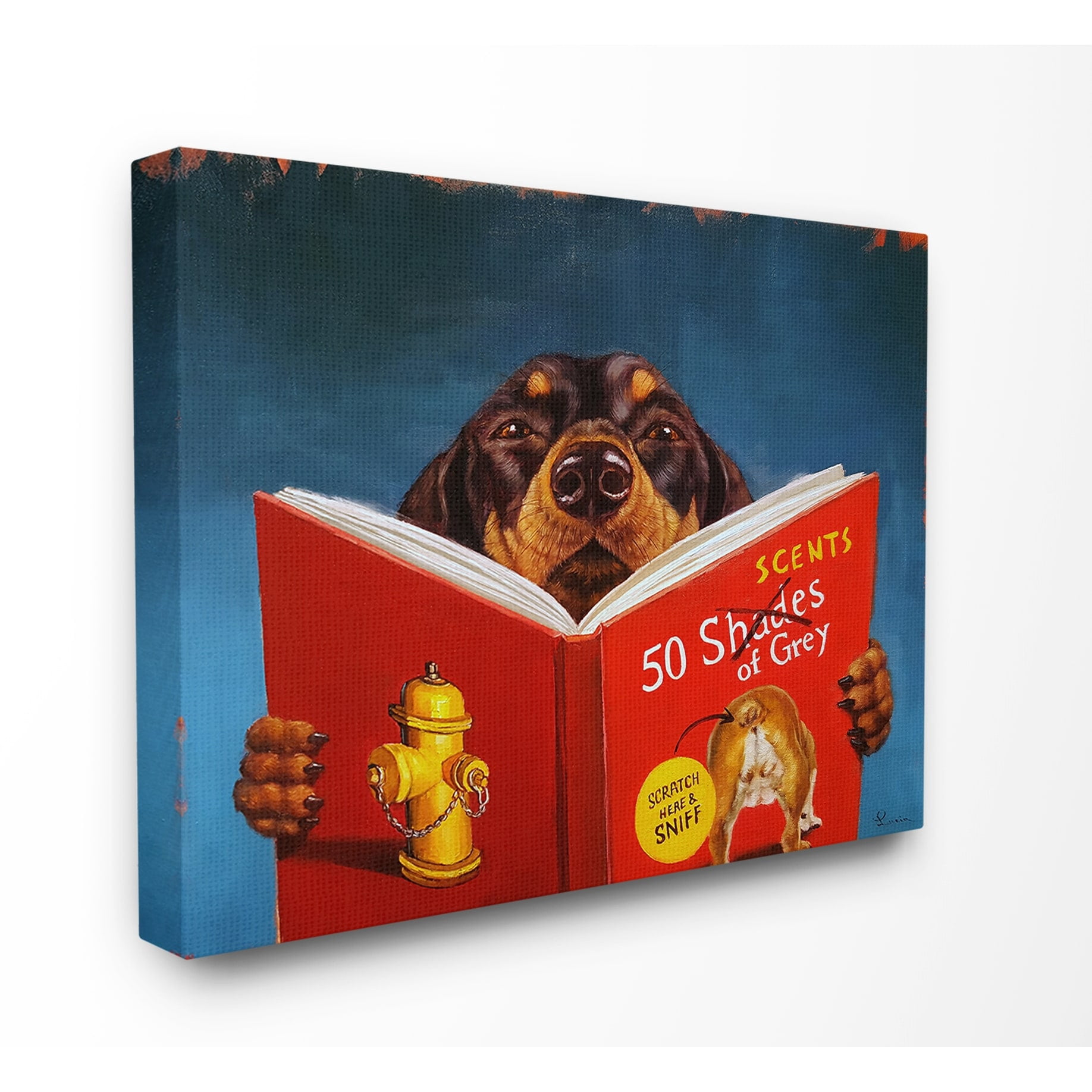 The Stupell Home Decor Collection 50 Scents Of Gray Funny Daschund Dog Reading Painting Stretched Canvas Wall Art, 16 x 20