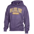 thumbnail image 2 of Men's Comfort Wash  Purple Wisconsin-Stevens Point Pointers Lightweight Fleece Pullover Hoodie, 2 of 3
