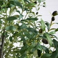 thumbnail image 5 of Nearly Natural Potted Artificial Olive Tree - 12' - Green, 5 of 9