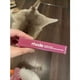 thumbnail image 3 of Funda Rhode Hailey Bieber Original Con Labial Para iPhone, 3 of 8